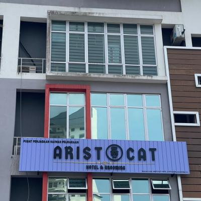 Aristocat 01